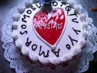Pastel decorado para 15-18 personas